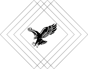 kara-kartal-logo